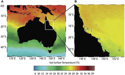 Reconstructing Four Centuries of Temperature-Induced <mark class="highlighted">Coral Bleaching</mark> on the Great Barrier Reef
